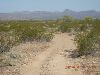 Alamo Lake airstrip run