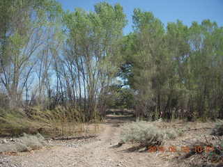 169 8m3. Double Circle Ranch run - dry creekbed