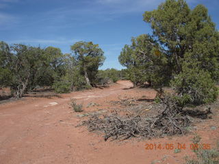 Canyon de Chelly - Spider Rock hike