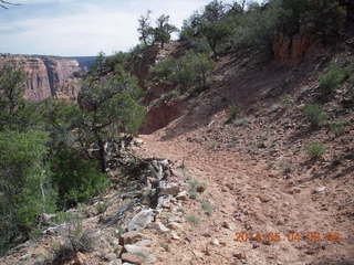 Canyon de Chelly - drive to Spider Rock hike