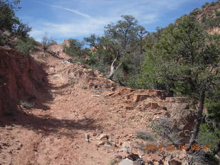 Canyon de Chelly - Spider Rock hike