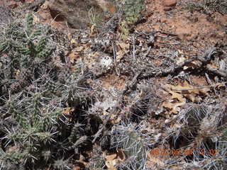 Canyon de Chelly - Spider Rock hike