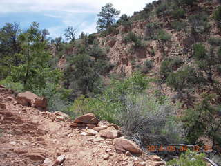 Canyon de Chelly - Spider Rock hike