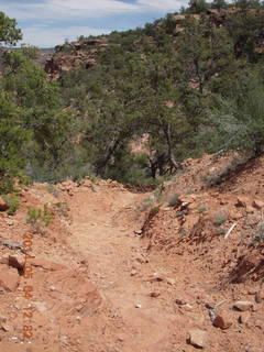 Canyon de Chelly - Spider Rock hike