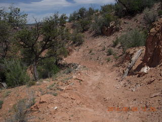 Canyon de Chelly - Spider Rock hike
