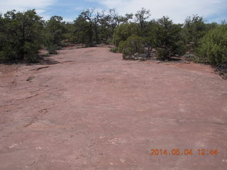 Canyon de Chelly - Spider Rock hike