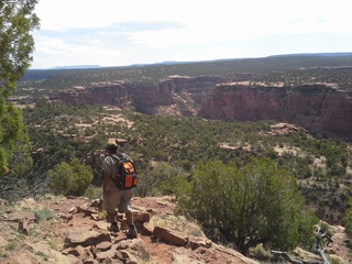 Canyon de Chelly - Spider Rock viewpoint sign and rock