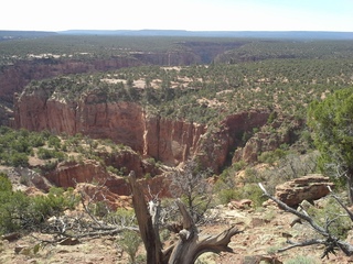 Canyon de Chelly - Spider Rock hike