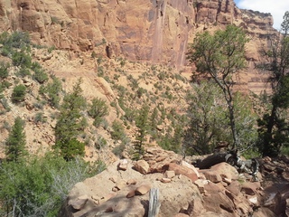 Canyon de Chelly - Spider Rock viewpoint