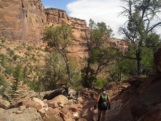 2280 8m4. Canyon de Chelly - Spider Rock hike - Adam