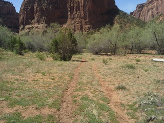 Canyon de Chelly - Spider Rock hike - Neil K