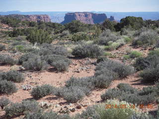171 8md. Canyonlands National Park - Murphy trail