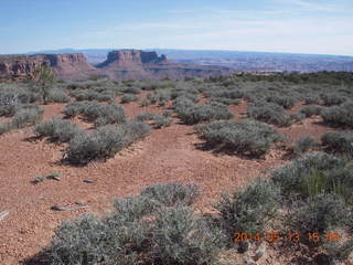 Canyonlands National Park view