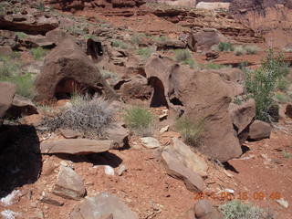 139 8mf. Canyonlands National Park - Lathrop hike - cool hollowed-out rocks