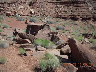 140 8mf. Canyonlands National Park - Lathrop hike - cool hollowed-out rocks