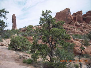 58 8mg. Arches National Park - Devil's Garden hike