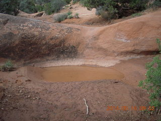 79 8mg. Arches National Park - Devil's Garden hike - mud puddle
