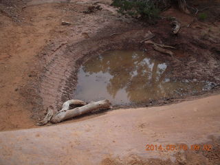 80 8mg. Arches National Park - Devil's Garden hike - mud puddle