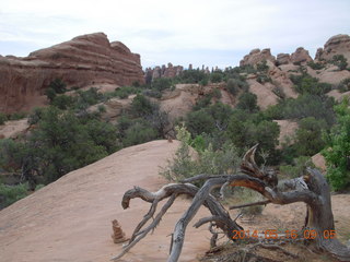 82 8mg. Arches National Park - Devil's Garden hike