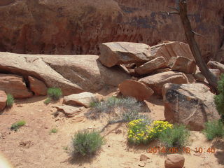 107 8mg. Arches National Park - Devil's Garden hike - rockfall near my favorite hole in the rock