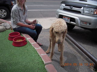 162 8mg. Moab - Milt's Stop & Eat - Britney and cool poodle