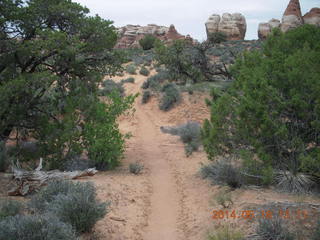 Canyonlands National Park - Needles - Elephant Hill + Chesler Park hike - footprints