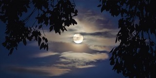 new moon over apartments