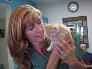 5 8nk. Dr. Krista Gibson and Max, my new kitten