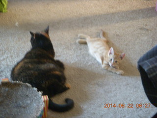 115 8np. my cats Maria and Max