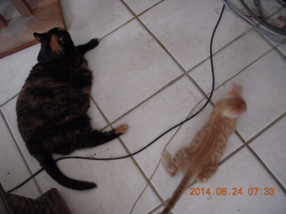 129 8nq. my cats Maria and Max