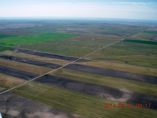 19 8q1. aerial near Greeley - cattle ranch