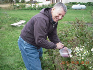 Kevin G picking raspberries