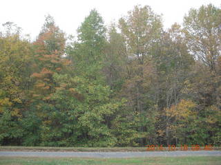 West Long Branch, New Jersey - fall color