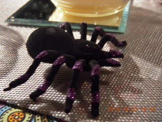 fake spider at HOA party