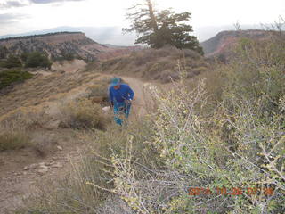 Eric L's pictures - Cheltenham XC - Curtis Arboretum - Adam running