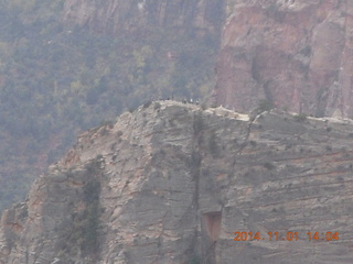100 8t1. Zion National Park - Observation Point hike - people atop Angels Landing