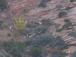 Zion National Park - Observation Point hike - people atop Angels Landing