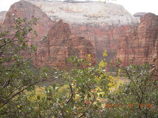 131 8t1. Zion National Park - Observation Point hike