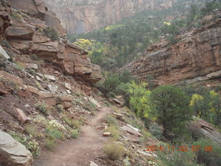 35 8t2. Zion National Park - Watchman hike