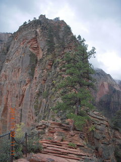 Zion National Park Angels Landing hike- Adam at the narrow part on chains