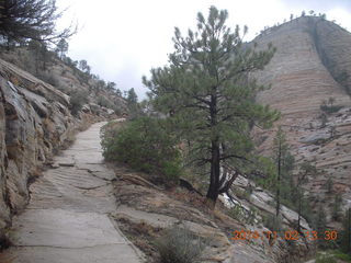 156 8t2. Zion National Park - West Rim hike