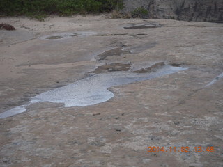 Zion National Park - West Rim hike - rainy puddle