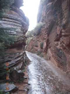 167 8t2. Zion National Park - down from Angels Landing