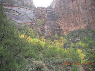 176 8t2. Zion National Park - down from Angels Landing
