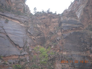 Zion National Park - down from Angels Landing - path cut in the rock