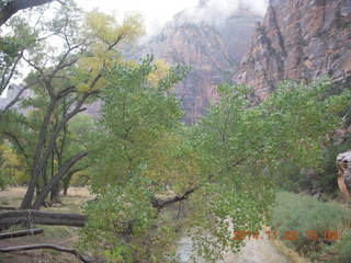 183 8t2. Zion National Park - down from Angels Landing