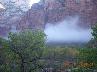 Zion National Park - wild turkey - strange low cloud/fog