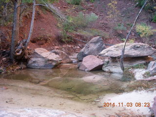 71 8t3. Zion National Park - Emerald Ponds hike
