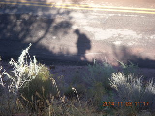 122 8t3. Zion National Park - my shadow