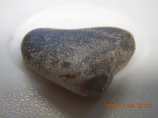 heart rock from zion from Janelle Morrison
